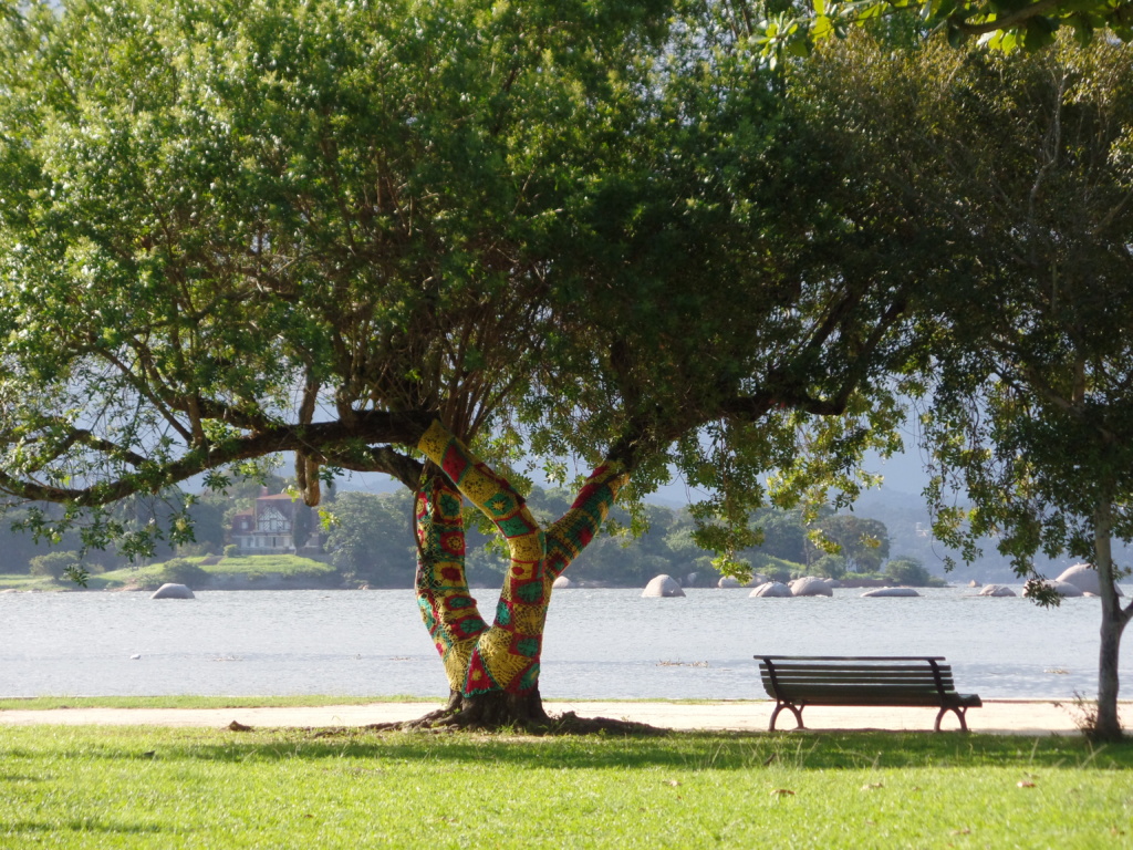 Ficou mais atraente passar uma tarde aqui agora? (Parque Darke de Matos) Ficou mais atraente passar uma tarde aqui agora? (Parque Darke de Matos)
