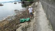 Coleta de lixo nas praias - Reciclando Pérolas