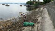 Coleta de lixo nas praias - Reciclando Pérolas